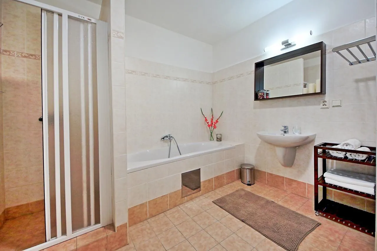 Louvre Apartment Πράγα